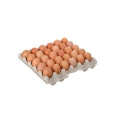 HUEVOS CARTON X 30UN